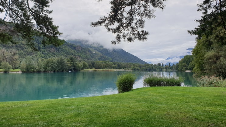 [스위스 일상] 끝나가는 여름 비오는날 호수 산책