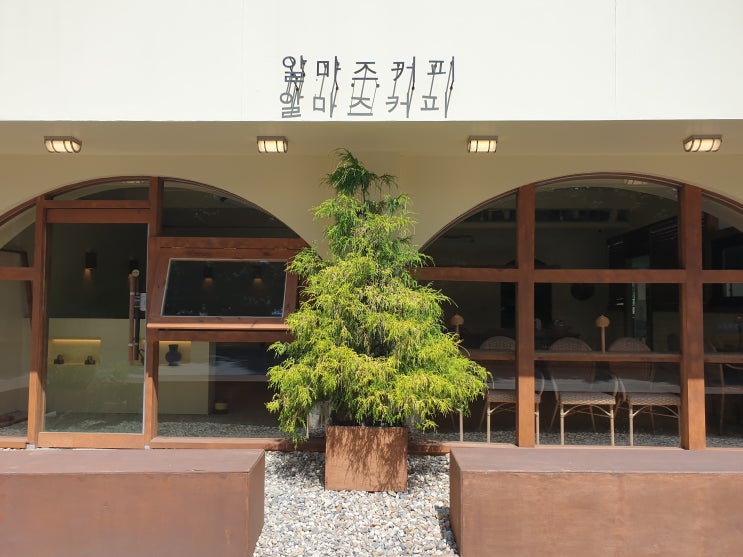  [카페 투어] 강릉 알마즈 커피