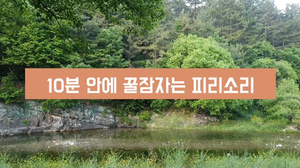 자연 속 명상 #4. 10분 안에 잠이 오는 피리소리 | 마음이 정화되는 음악 | 수면음악, 힐링음악, 불면증음악, 명상음악 자연 속 명상 #4. 10분 안에 잠이 오는 피리소리 | 마음이 정화되는 음악 | 수면음악, 힐링음악, 불면증음악, 명상음악