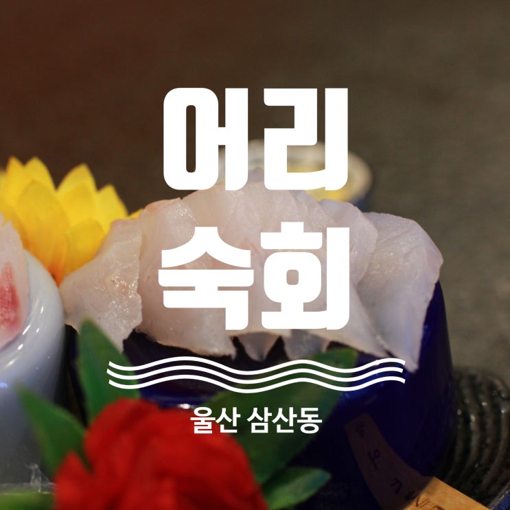  울산 일식 맛집 어리숙회 울산점