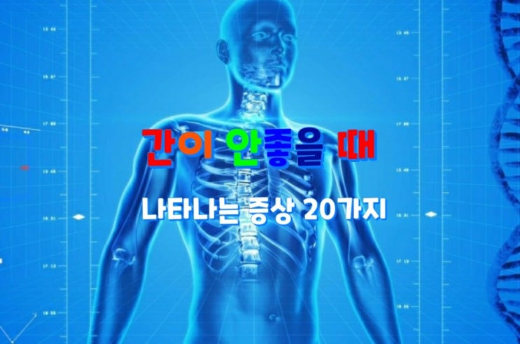 간이 안좋을 때 나타나는 증상 20가지 