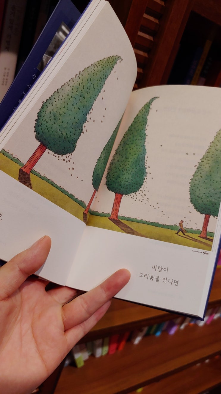  바람이 그리움을 안다면-강원석 시집