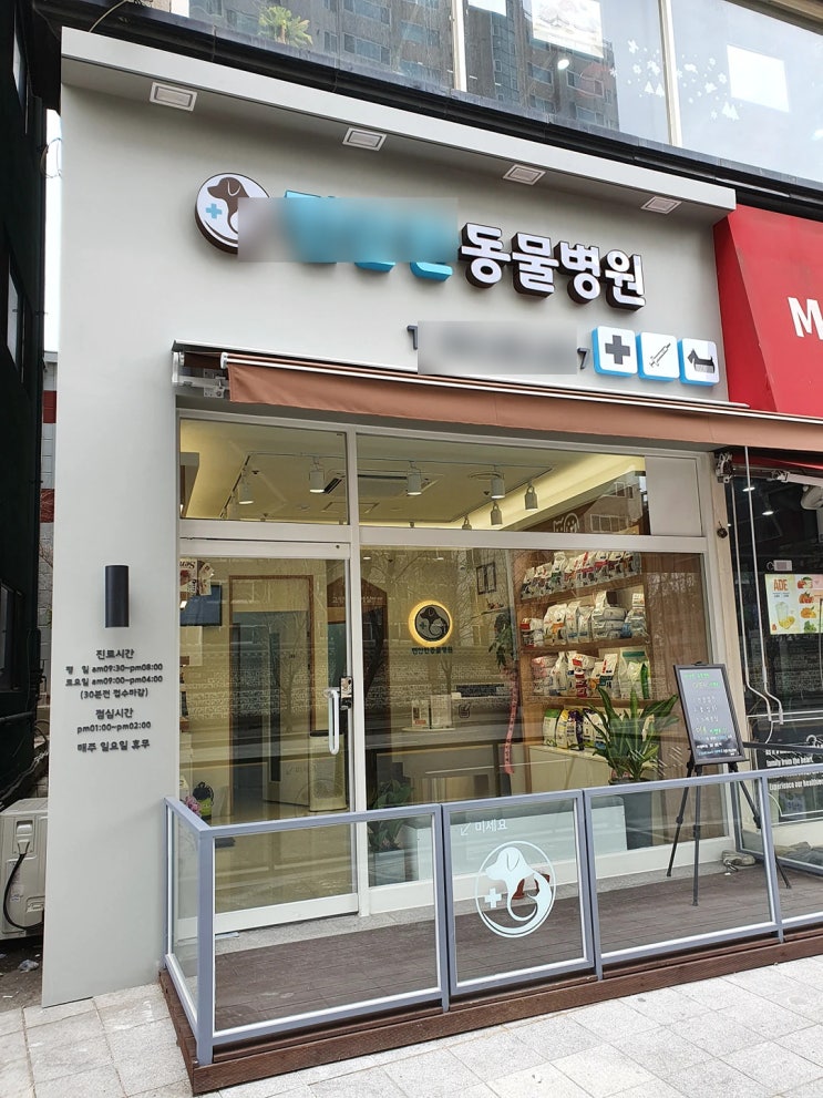  강아지 배탈 평소 관리가 중요하네요