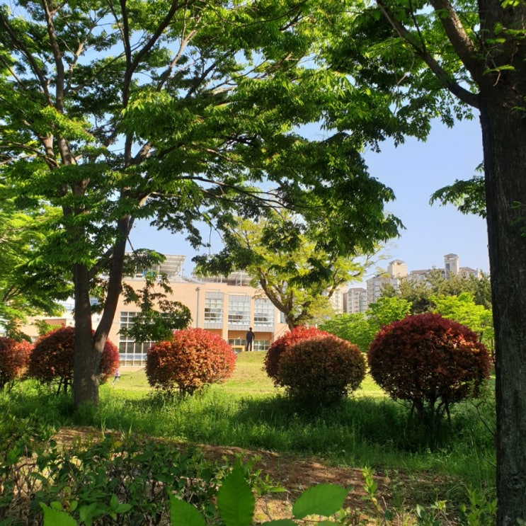  부산 명지오션시티 퀸덤 1단지 영구바다 조망 에디슨타운 임장기 매수기
