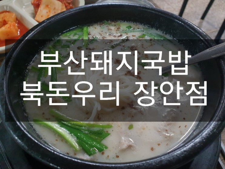 전농동 맛집 부산 돼지국밥 복돈우리 장안점