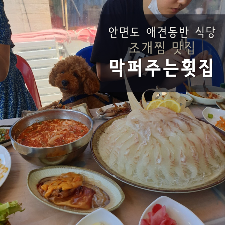  안면도조개찜 / 막퍼주는횟집 : 태안 애견동반 푸짐하게 먹을 수 있는 횟집