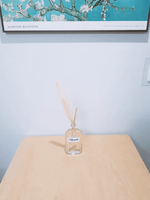  인테리어디퓨저 볼름에릭스 대용량디퓨저 사용해봤어요