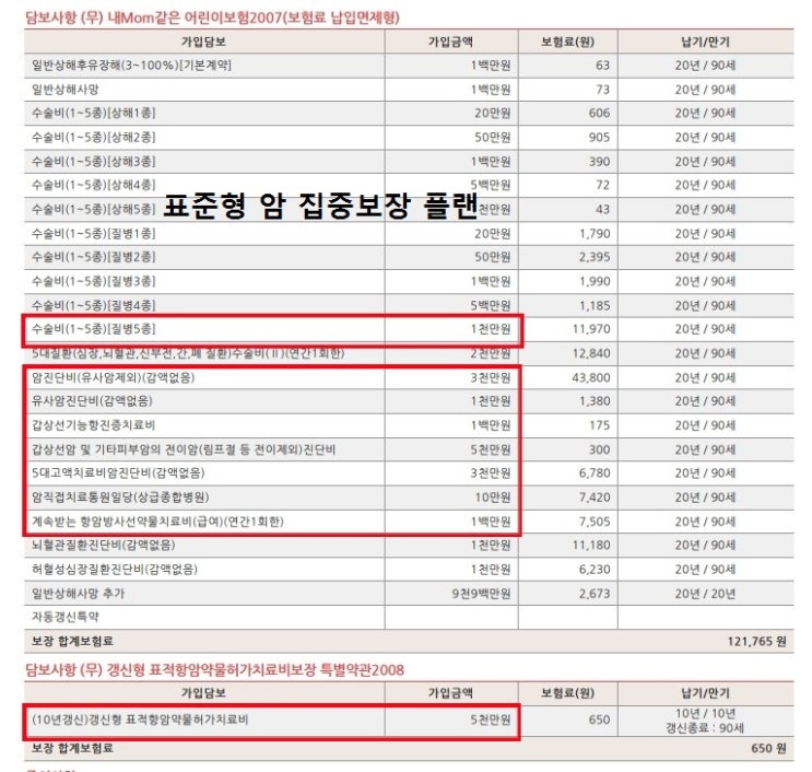  메리츠 암보험 비갱신형(표적항암치료제 처방 및 치료) 집중보장 플랜