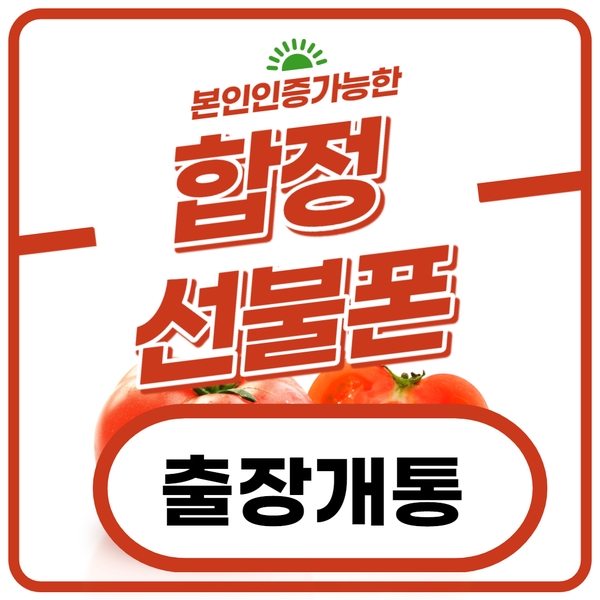  합정선불폰 버스정류장에서 출장개통 가능해?^^