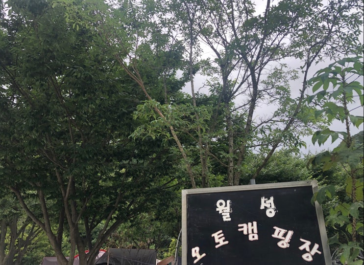  거창캠핑장 계곡캠핑장 월성오토캠핑장