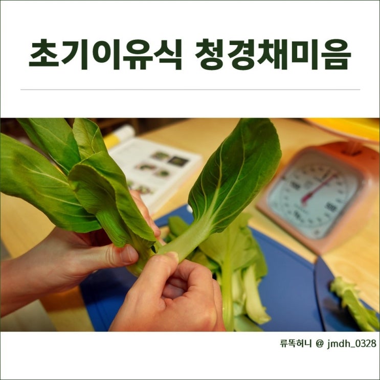  냄비이유식(초기) : 비타민 C가 풍부한 청경채 미음 만들기