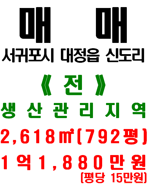  서귀포시 대정읍 신도리 현황도로 있는 농사용지(매물번호 493)