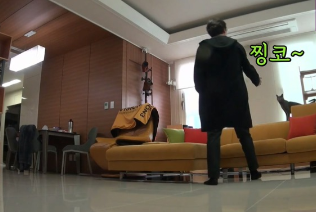  [미우새] 이상민 고양이를 부르는 탁재훈