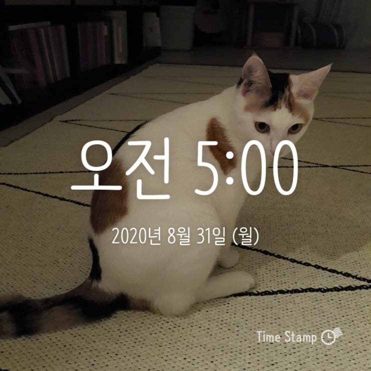  미라클모닝 - 모모 0831