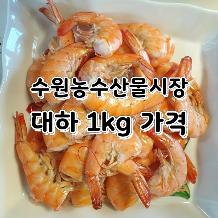 수원농수산물시장 대하 가격 저렴하고 좋네요 수원농수산물시장 대하 가격 저렴하고 좋네요