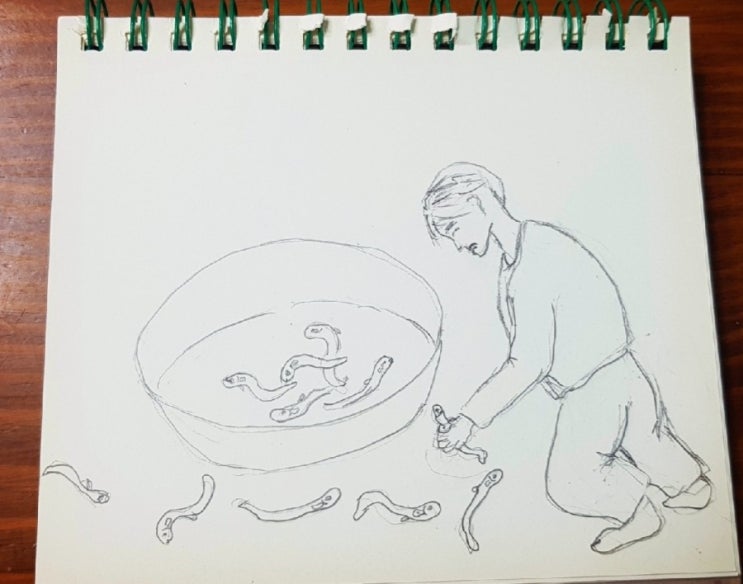  새댁의 실수는 정녕 무죄였을까