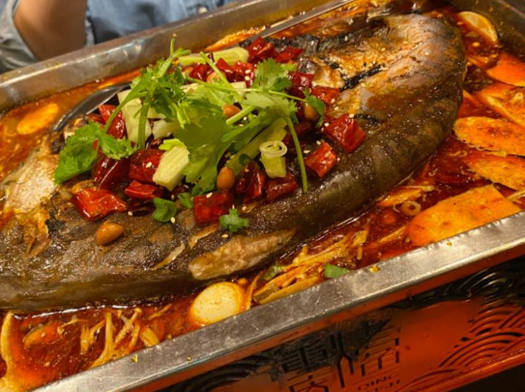 [싱가포르 맛집] 요즘 찐 최애 음식 마라 그릴 피쉬! Chong Qing Grilled Fish 총칭그릴피쉬