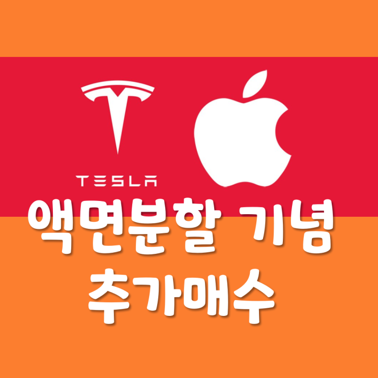  액면분할 기념 애플 테슬라 추가매수