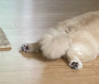  또쪽한 8월 일기
