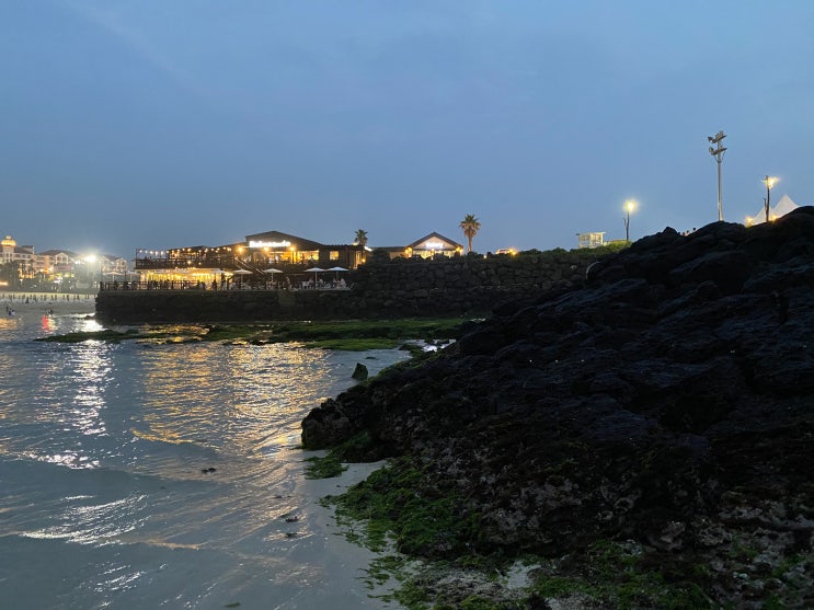  제주도 여행 1편 , 함덕해변,델문도,선샤인호텔  단백한여행