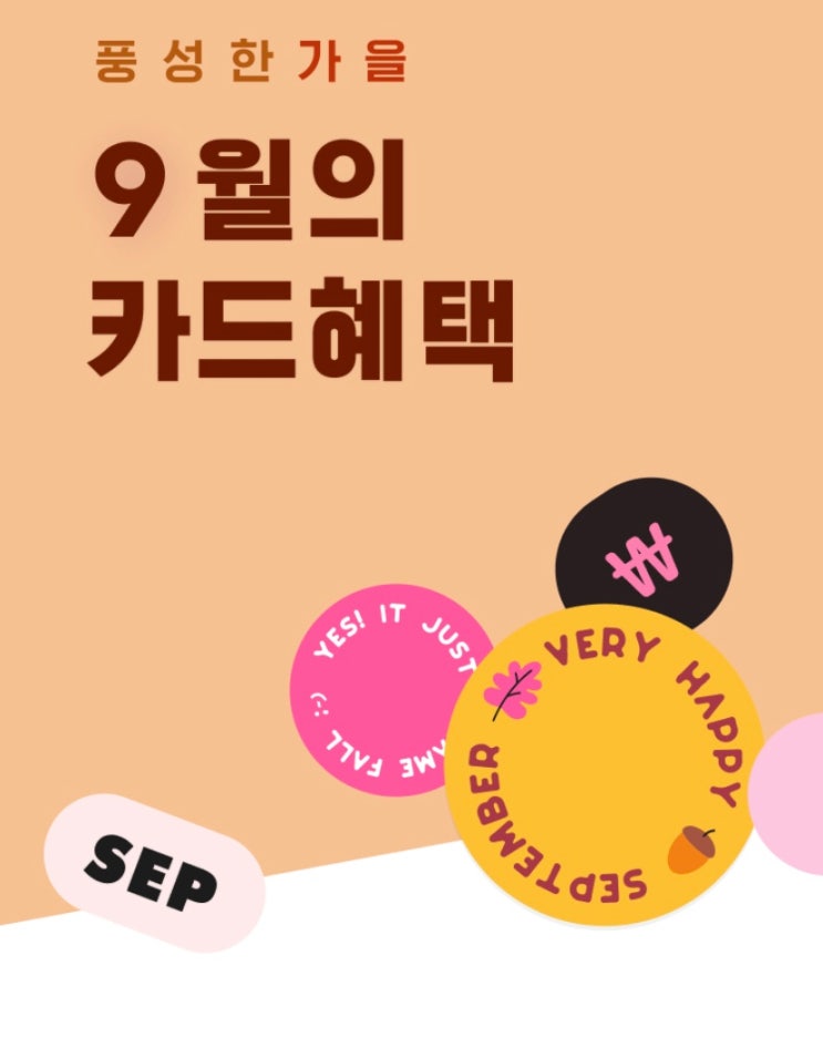  지그재그 9월 카드 5000원 할인