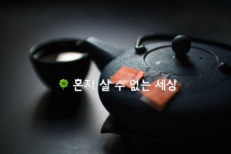  혼자 살 수 없는 세상