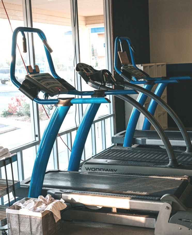  네이버 영어회화 I prefer working out  and resting at home.
