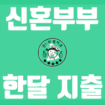  2인가족 신혼부부 한달 생활비 (20년 8월) - 총지출 목표 달성!