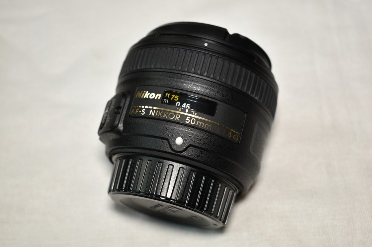  니콘 NIKKOR LENS AF-S NIKKOR 50mm f/1.8G 개봉기