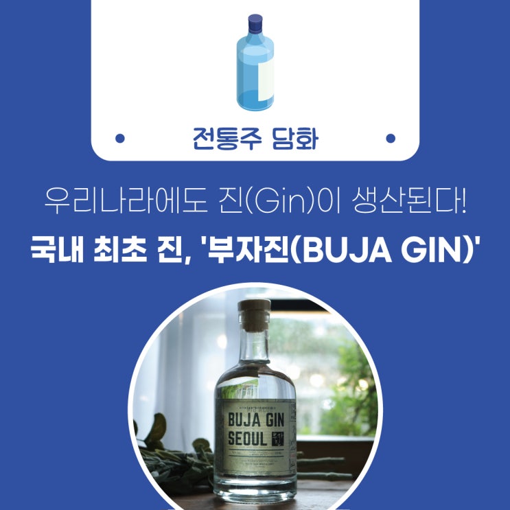 [술담화] 우리나라에도 진(Gin)이 생산된다! 국내 최초 진, '부자진(BUJA GIN)'