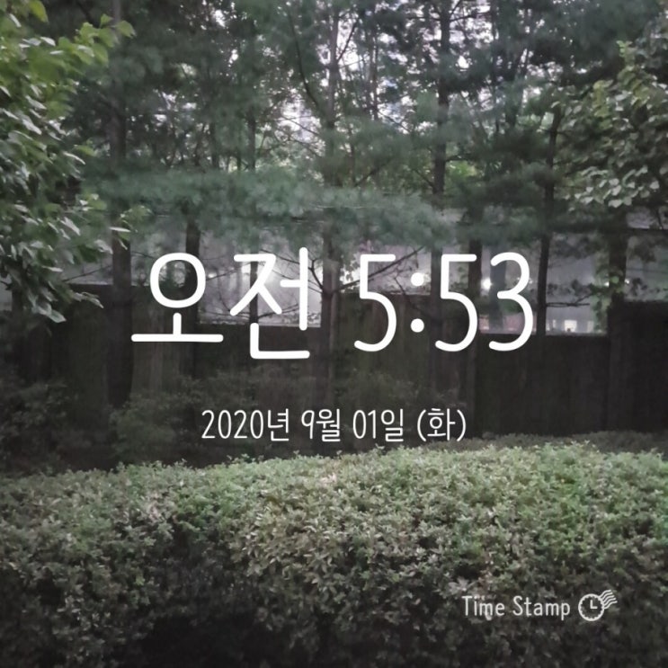  미라클모닝 - 모모 0901