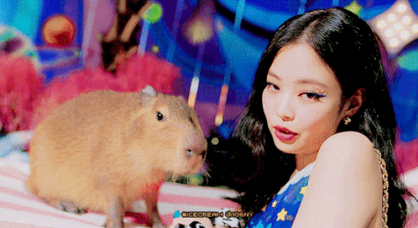 카피바라한테 진심인 블랙핑크 제니 카피바라한테 진심인 블랙핑크 제니