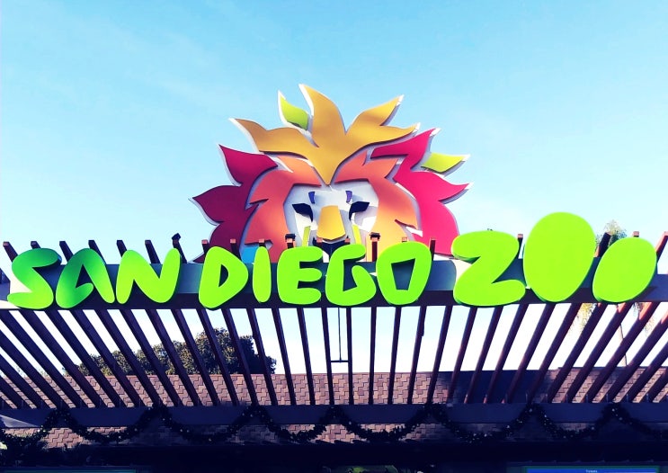  San Diego Zoo | 온 가족이 즐거운 샌디에고 동물원