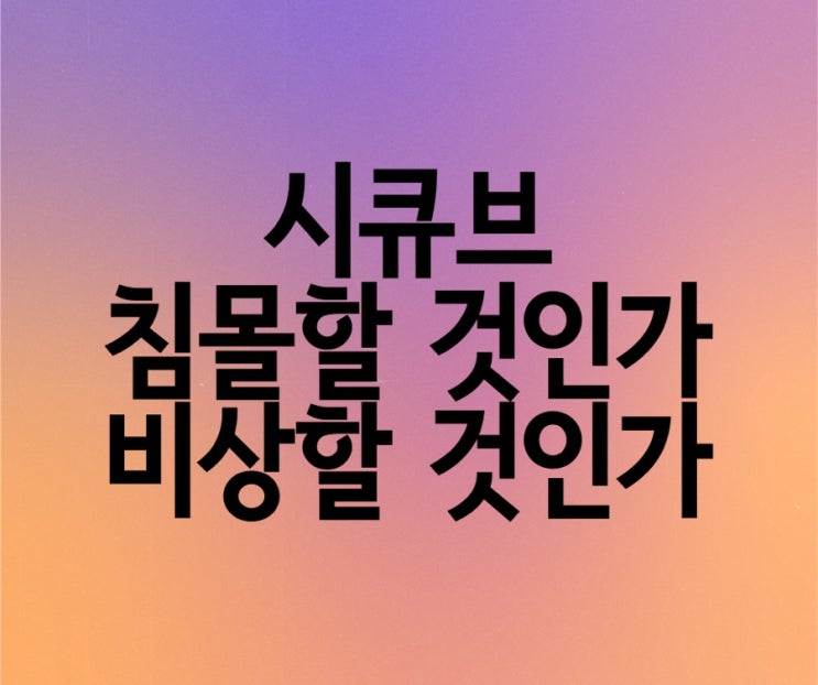  [청투모 프로젝트] "5G 수혜산업 정보 보안 - 시큐브" 다시 한번 날갯짓을 할 것인가 아니면 침몰할 것인가