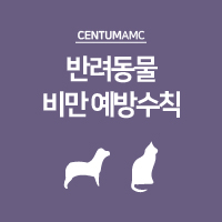  반려동물 비만 예방을 위한 간단한 수칙