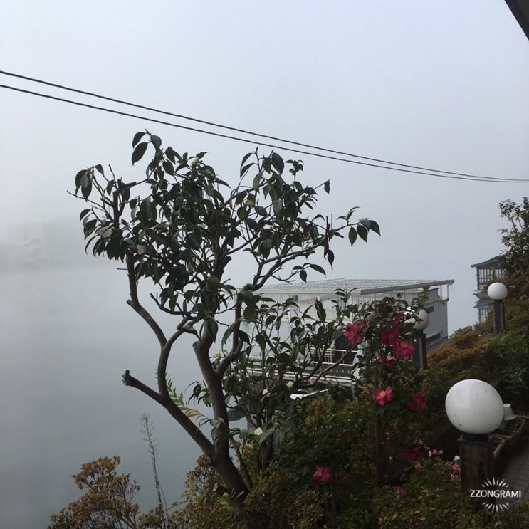  [2018] 내가 찍은 풍경 : 물안개 낀 미쿠마 강(川霧の三隈川) ②