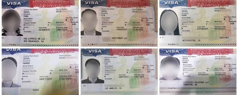 Indian e-Visa Application for Development of New High Pressure Washing Market