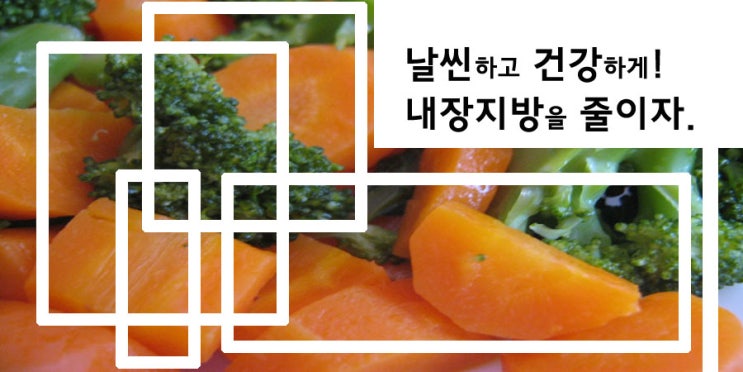  다이어트. 내장지방을 줄이자.