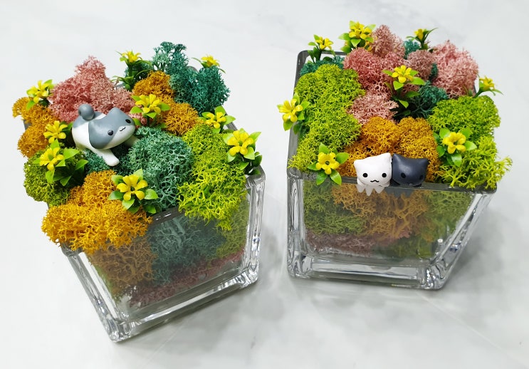  2만원으로 만드는 스칸디아모스 화분 DIY