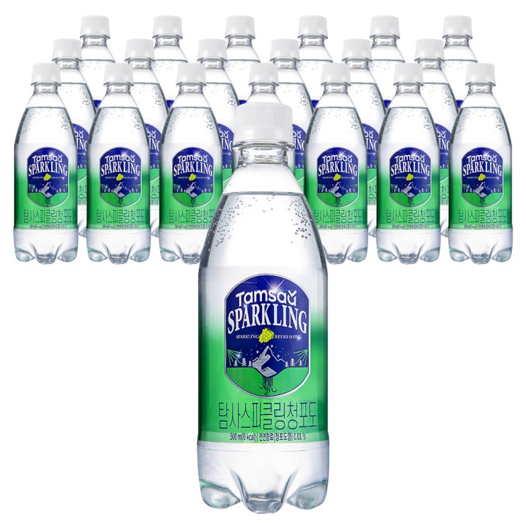  쿠팡 브랜드 - 탐사 스파클링 워터 청포도, 500ml, 20개