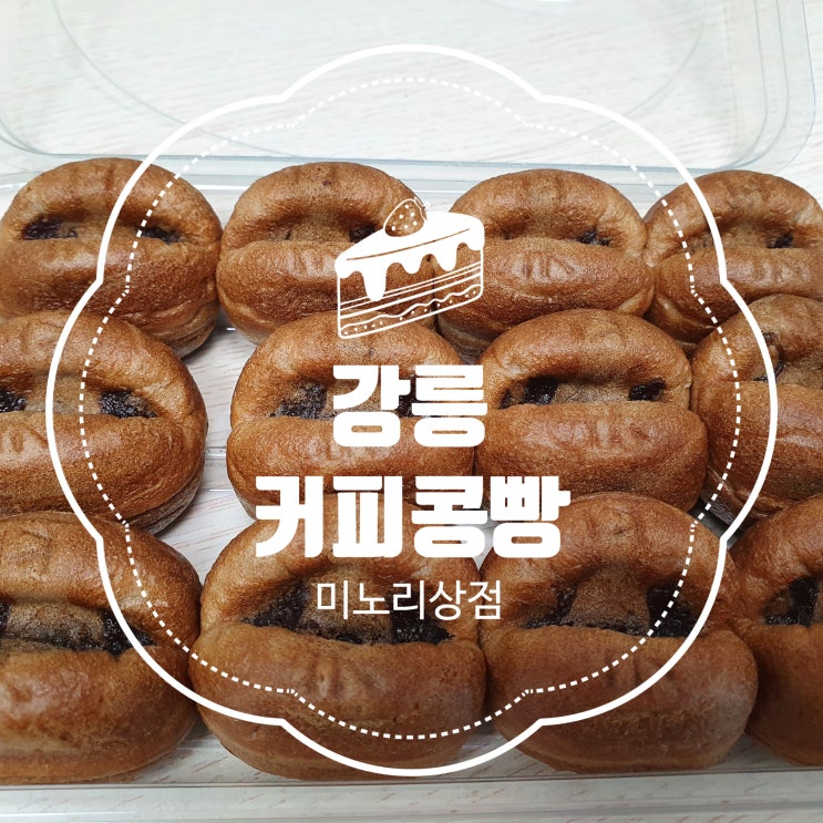  앙꼬가득한 강릉먹거리 커피콩빵 이제 집에서 즐겨요 (feat.조지방과 조단백이란?)