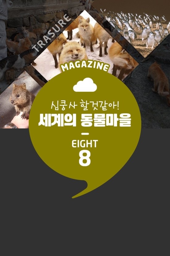  [해외문화탐방]세계 동물마을