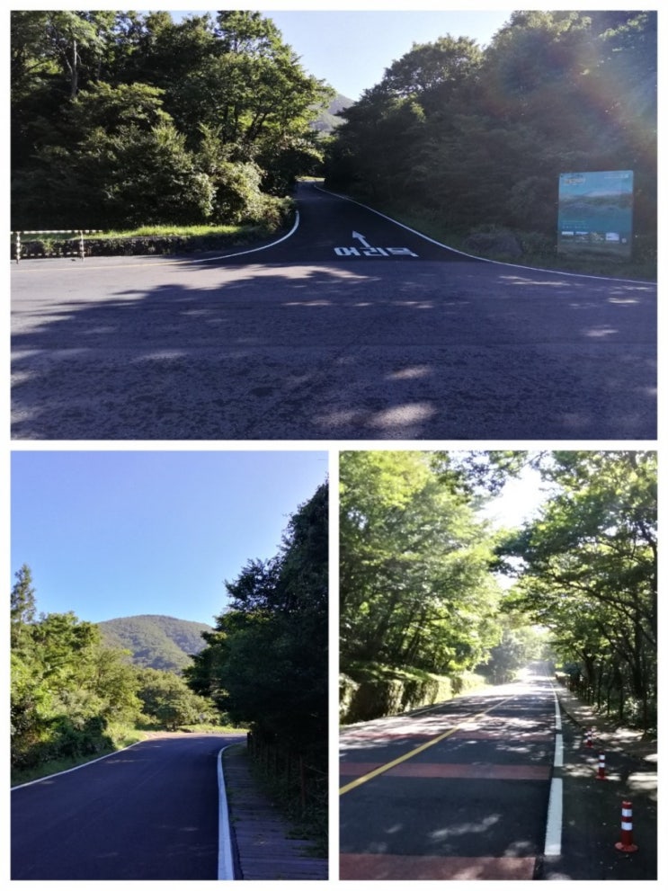  한라산 등반 제1코스 : 어리목코스(윗세오름 등반)