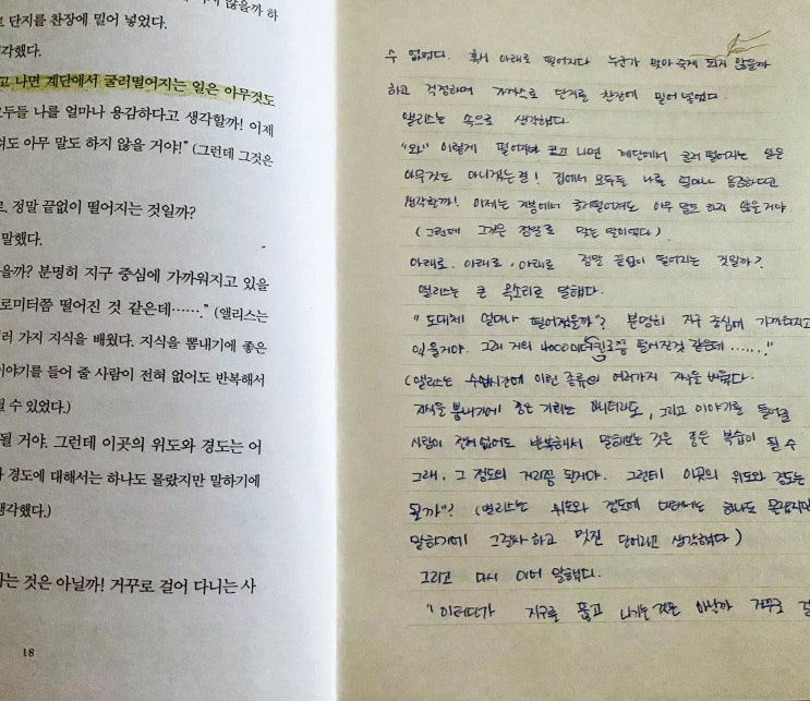  200901 이상한 나라의 앨리스(이렇게 떨어지고 나면  계단에서 굴러떨어지는 일은  아무것도 아니겠는걸!)