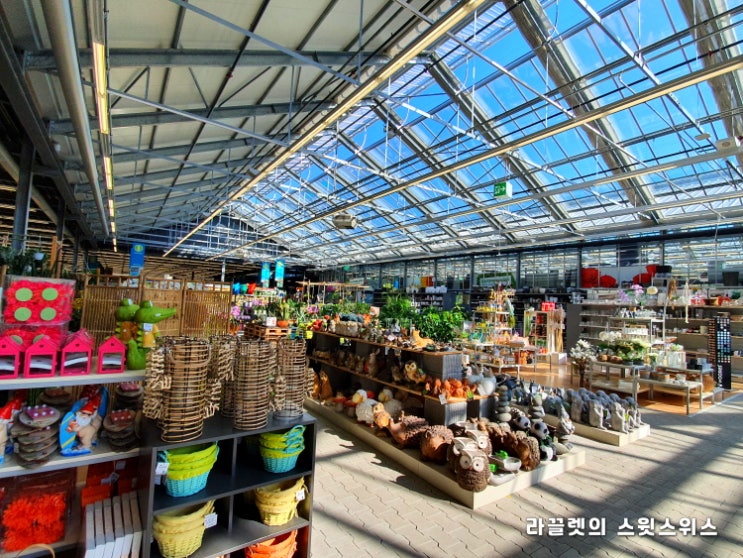  [스위스일상] 스위스 만물상 Coop Bau+Hobby (feat. 아기 참새)
