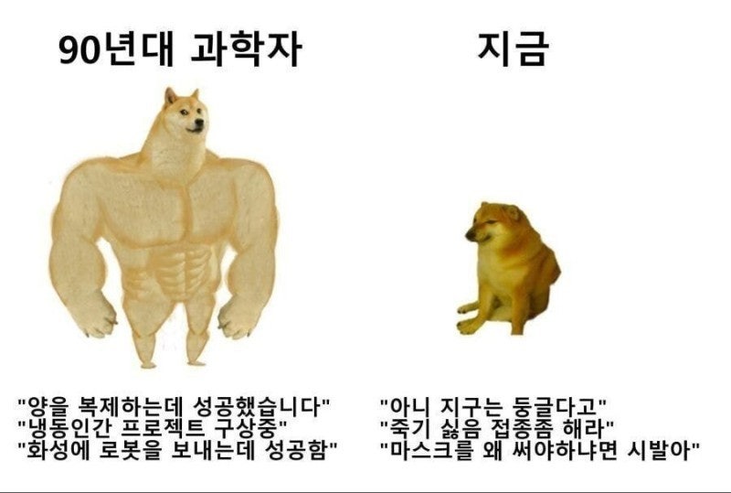 근육 시바견 밈 모음 : 네이버 블로그