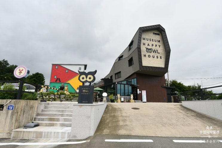 세계각국의 부엉이들은 다 모였다.속초 부엉이 박물관 해피아울하우스 세계각국의 부엉이들은 다 모였다.속초 부엉이 박물관 해피아울하우스