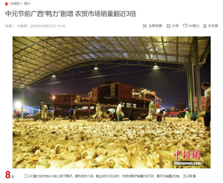 "중원절 전날 광시좡족자치구 오리 판매량 3배 가량 폭증" CCTV HSK 생활 중국어 신문 기사 뉴스 공부