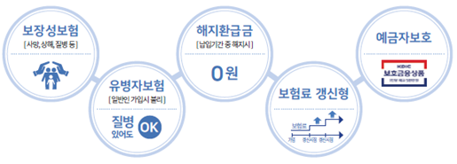 보험약관 보기 쉬워진다(깨알글씨 -> 주요특징 시각화)