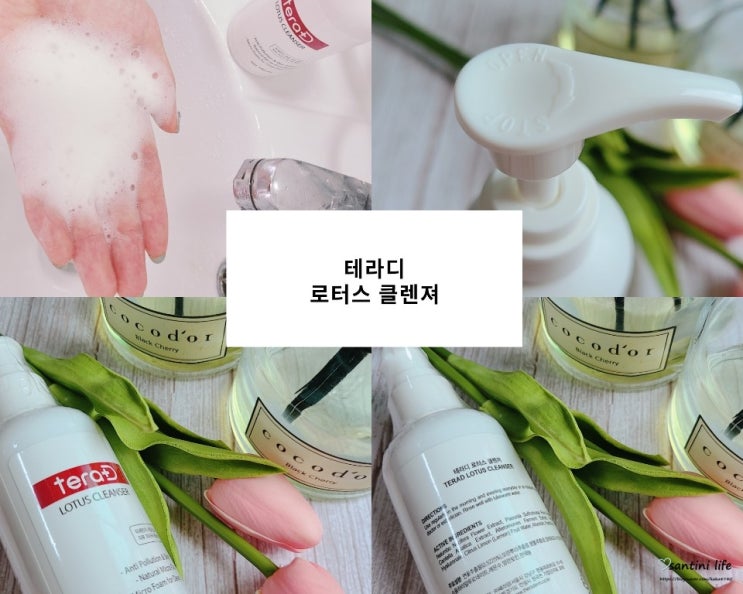 쎄라덤 테라디로터스 식물성클렌저 순해도 잘져요! 쎄라덤 테라디로터스 식물성클렌저 순해도 잘져요!